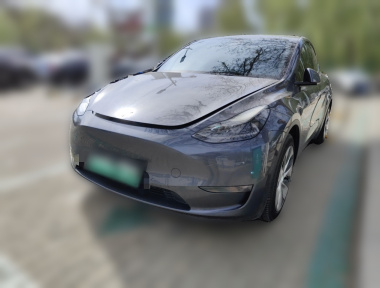 Tesla Model Y 2021 Tesla Model Y 2021 car image