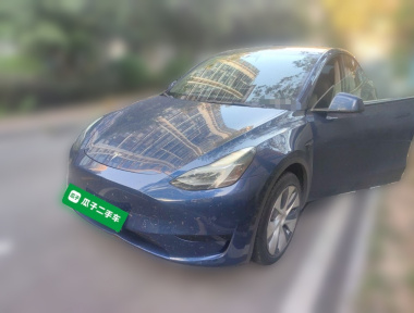 Tesla Model Y 2022 Tesla Model Y 2022 car image
