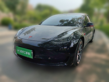 Tesla Model 3 2022 Tesla Model 3 2022 car image