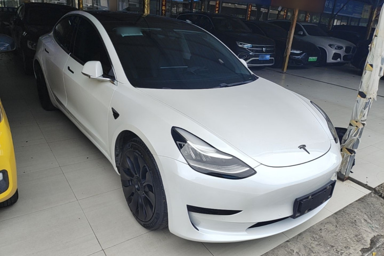 Tesla Model 3 2020 car image #6