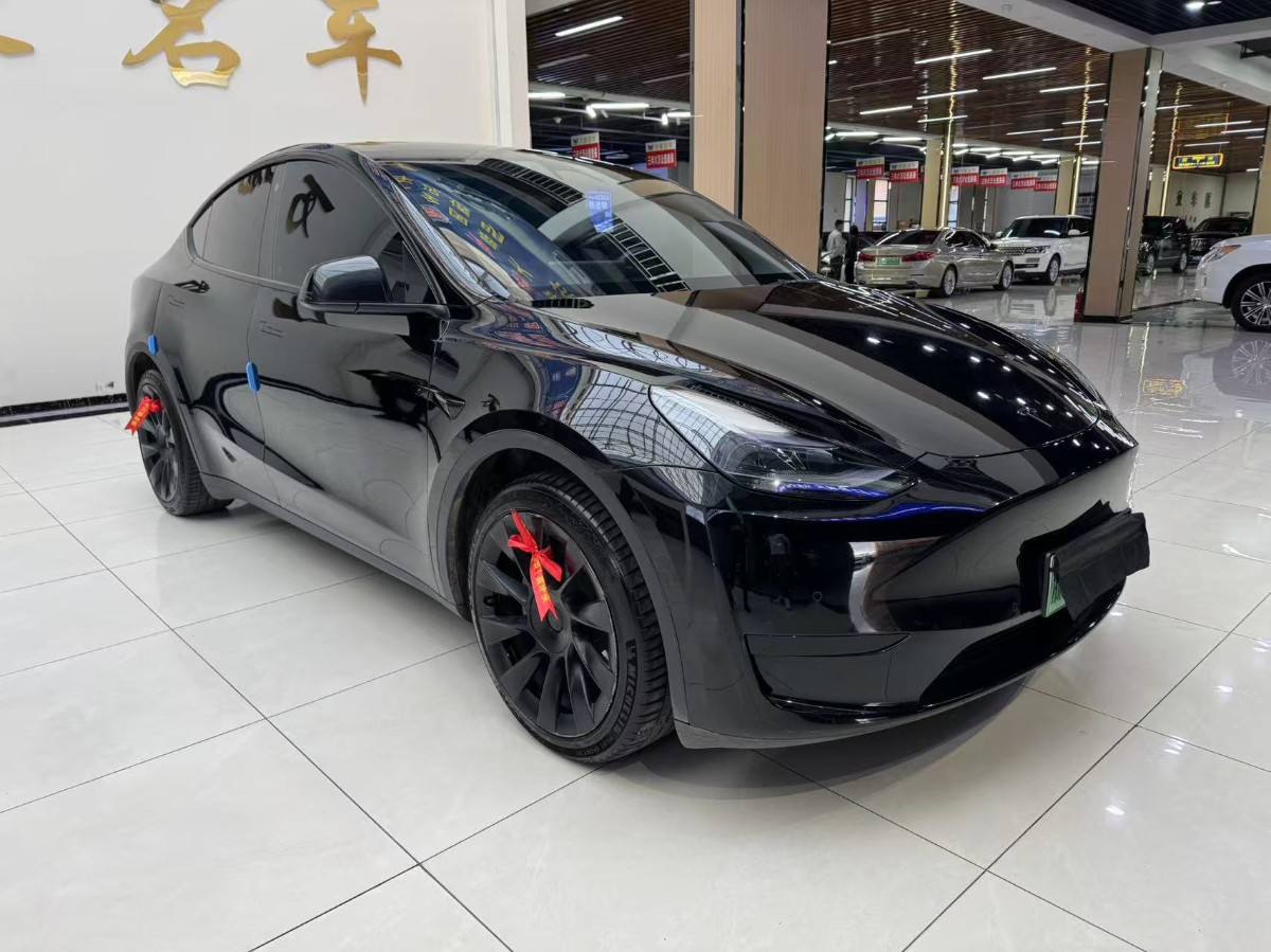 Tesla Model Y 2023 Tesla Model Y 2023 car image