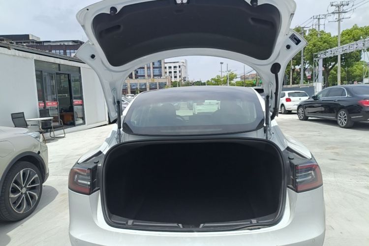 Tesla Model 3 2020 car image #19