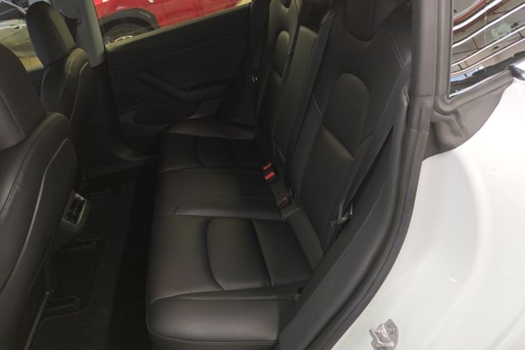 Tesla Model 3 2020 #17 Tesla Model 3 2020 car image #17