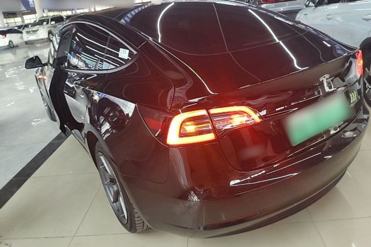 Tesla Model 3 2021 car image #5