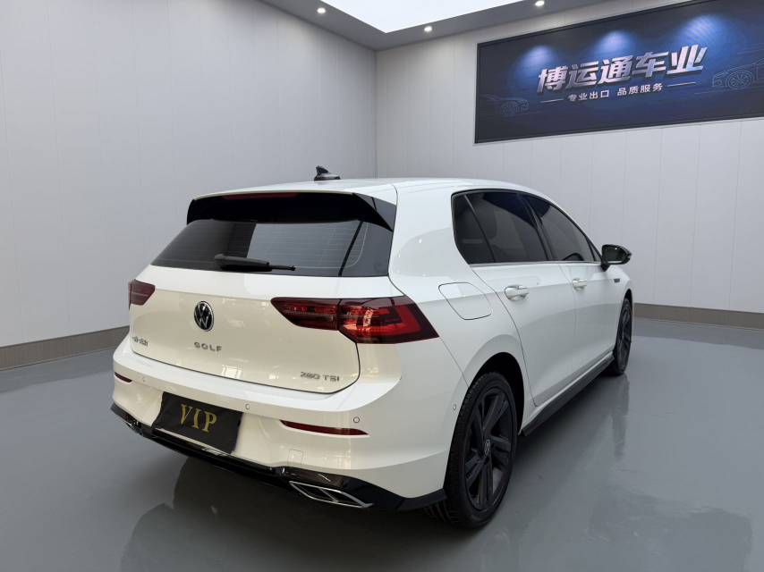 Volkswagen Golf 2021 car image #6