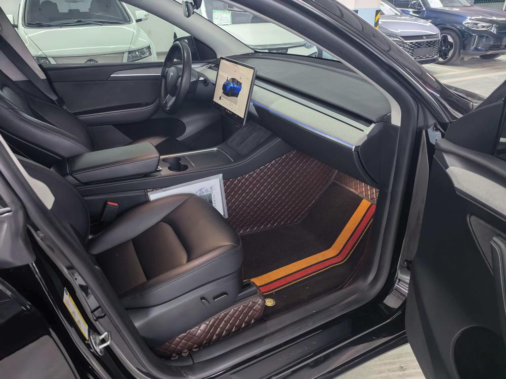 Tesla Model Y 2024 car image #10