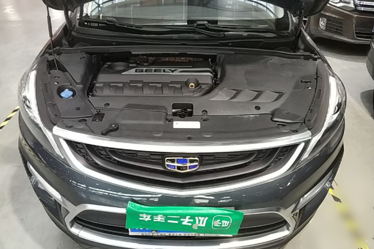 GEELY Emgrand GS 2017 imagem de carro #20