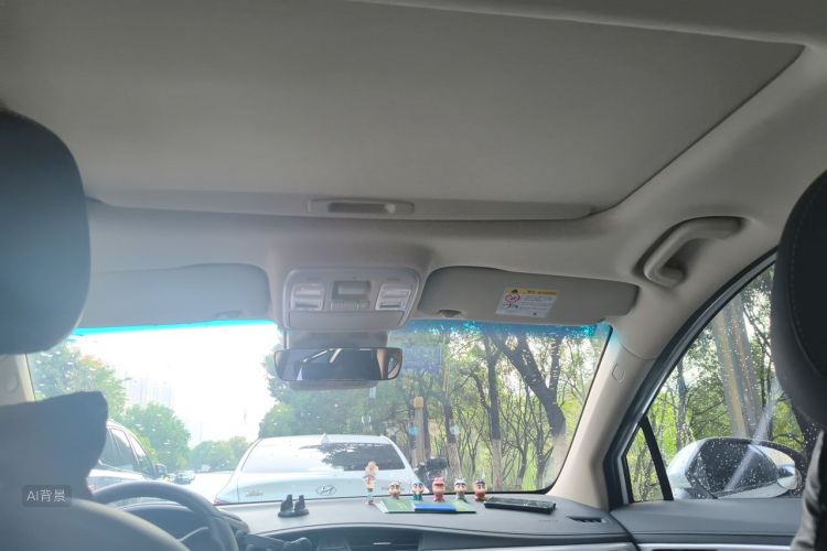 GEELY Emgrand GS 2020 car image #20