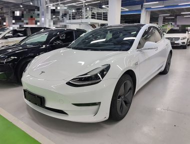 Tesla Model 3 2020 immagine di auto 