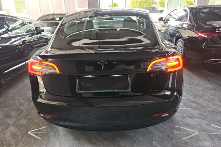 Tesla Model 3 2023 #6 Tesla Model 3 2023 car image #6