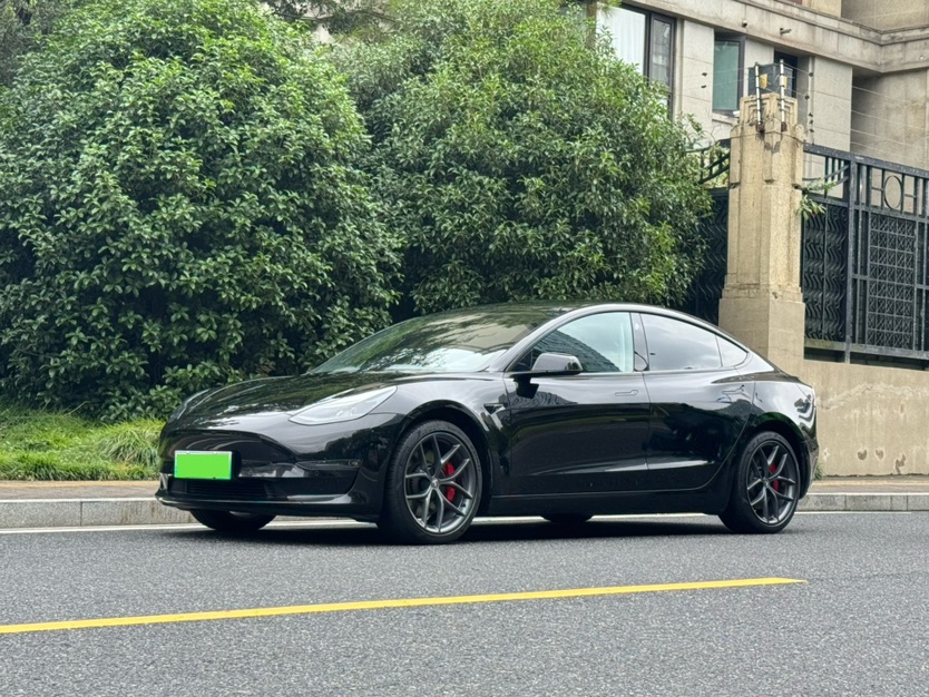Tesla Model 3 2022 car image 