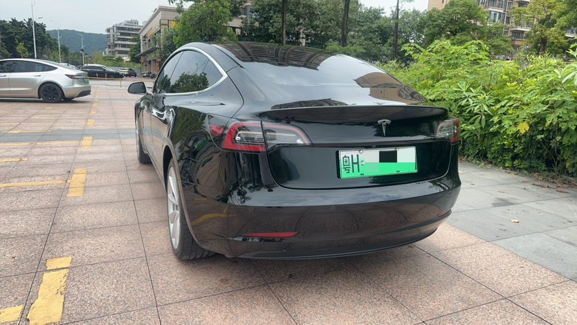Tesla Model 3 2020 car image #6