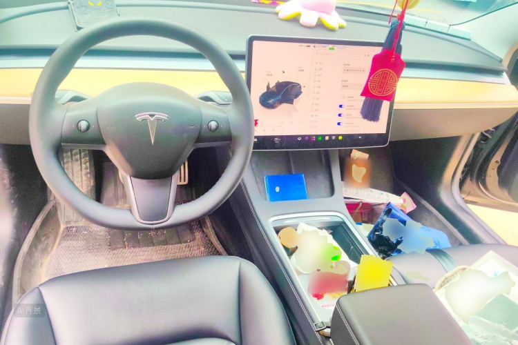 Tesla Model 3 2022 car image #11