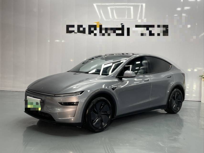 Tesla Model Y 2025 car image 