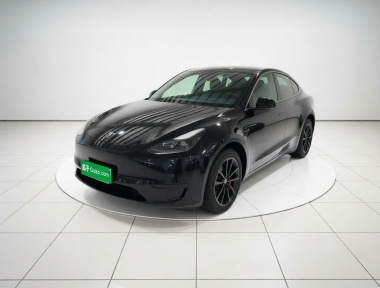 Tesla Model Y 2022 Tesla Model Y 2022 car image
