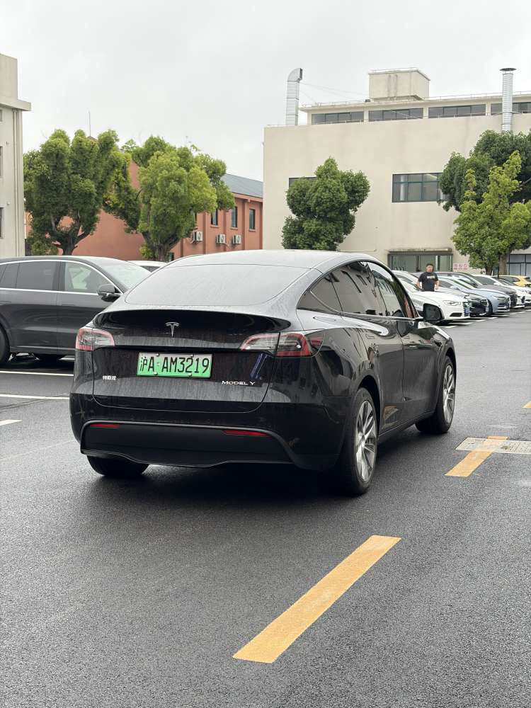 Tesla Model Y 2022 car image #7