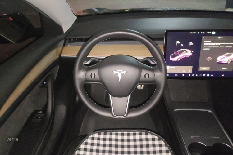 Tesla Model 3 2021 car image #12