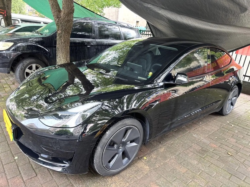 Tesla Model 3 2023 Tesla Model 3 2023 car image