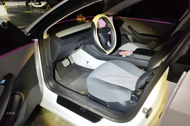 Tesla Model 3 2025 car image #18