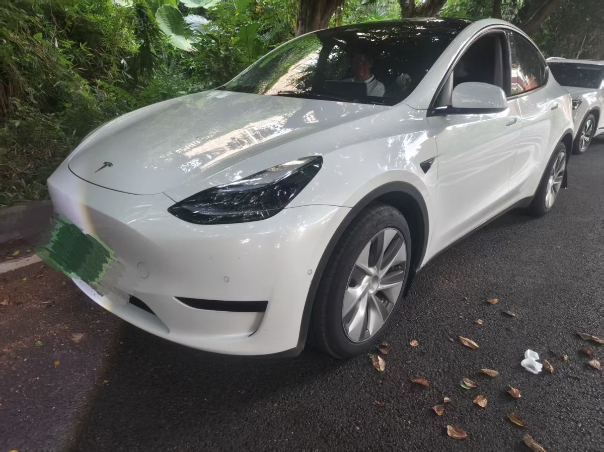 Tesla Model Y 2022 car image 