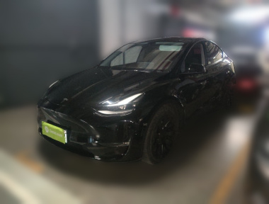 Tesla Model Y 2021 Tesla Model Y 2021 صورة سيارة