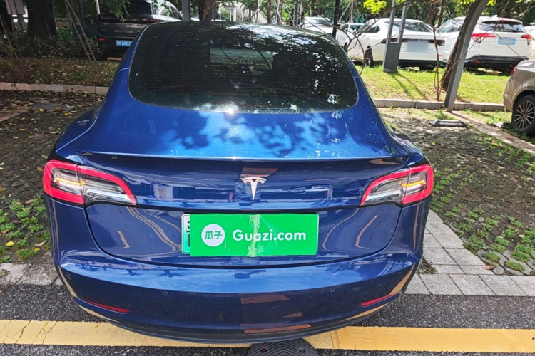 Tesla Model 3 2021 #6 Tesla Model 3 2021 car image #6