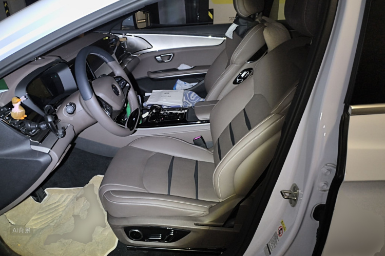 BYD Han 2022 صورة سيارة #17