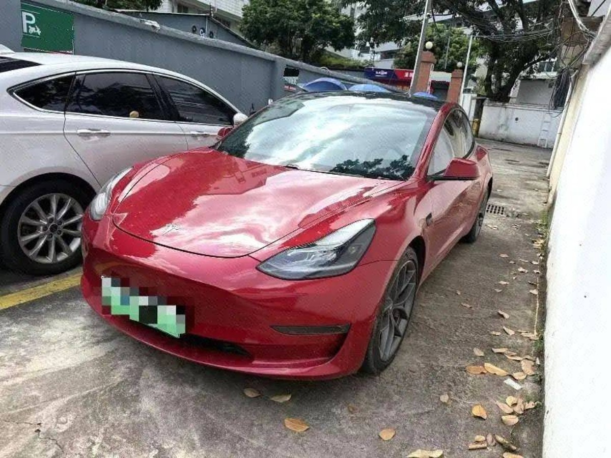 Tesla Model 3 2021 Tesla Model 3 2021 car image