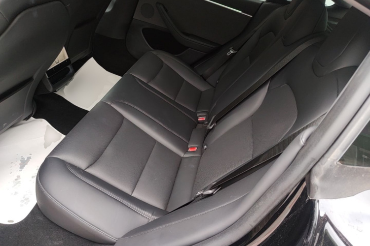 Tesla Model 3 2023 car image #13
