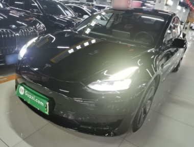 Tesla Model 3 2021 Tesla Model 3 2021 car image