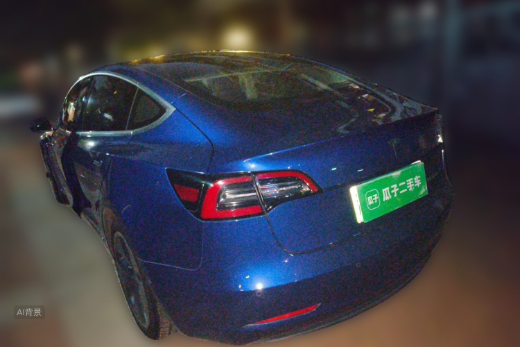 Tesla Model 3 2020 car image #5