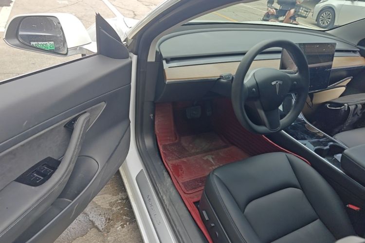 Tesla Model 3 2020 car image #12