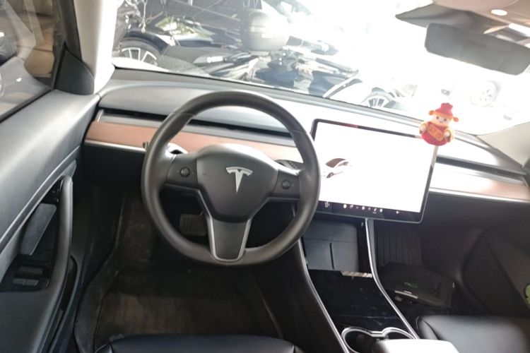 Tesla Model 3 2020 car image #15