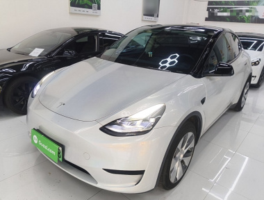 Tesla Model Y 2022 car image 