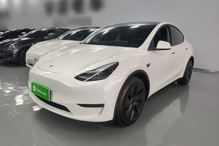 Tesla Model Y 2024 car image #2