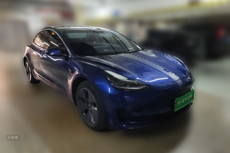 Tesla Model 3 2021 #4 Tesla Model 3 2021 car image #4