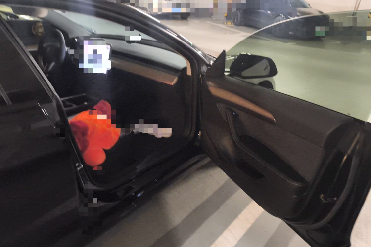 Tesla Model 3 2022 #22 Tesla Model 3 2022 car image #22