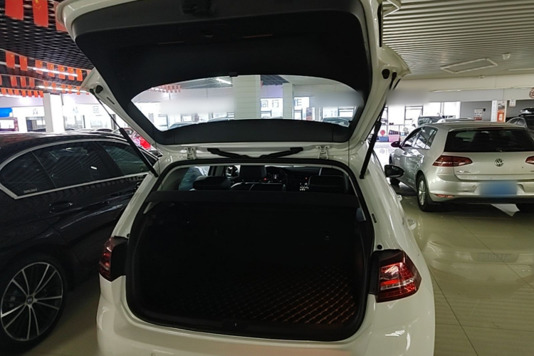 Volkswagen Golf 2017 car image #19