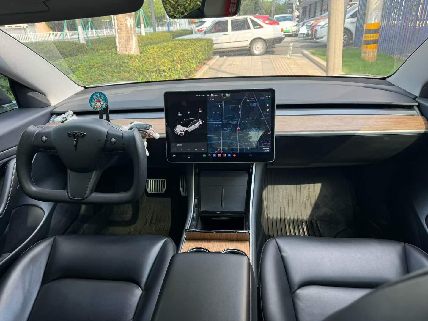 Tesla Model 3 2020 car image #11