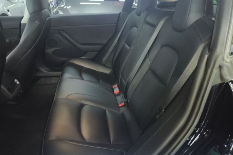 Tesla Model 3 2022 #17 Tesla Model 3 2022 car image #17