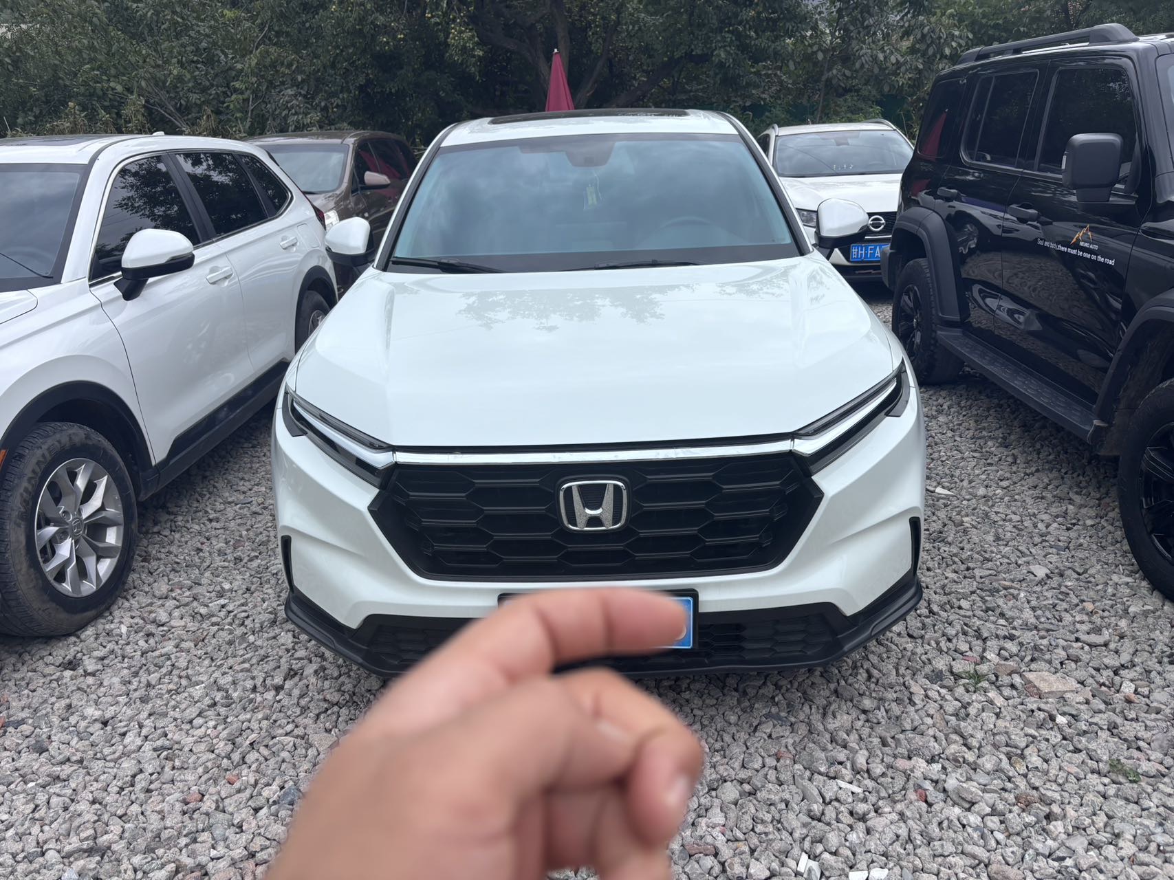 Honda CR-V 2023 car image #2