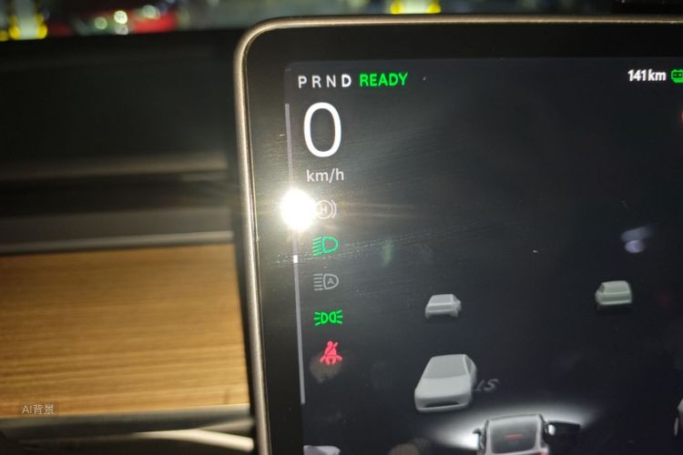 Tesla Model Y 2021 immagine di auto #13