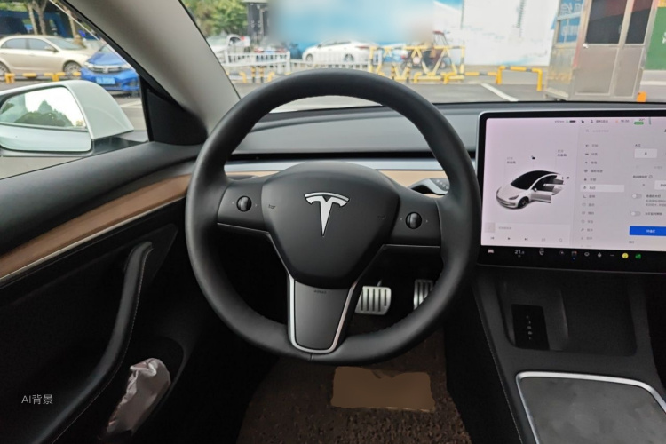 Tesla Model 3 2021 car image #12