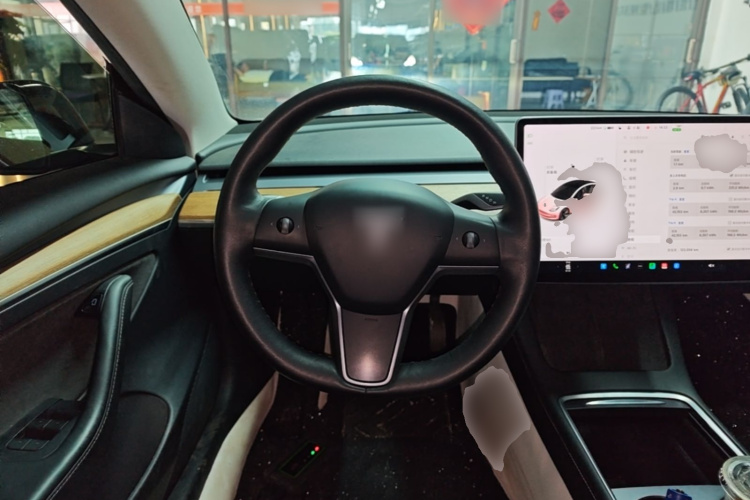 Tesla Model 3 2021 car image #11