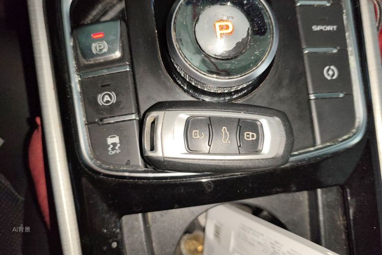 GEELY Emgrand GSe 2019 car image #10