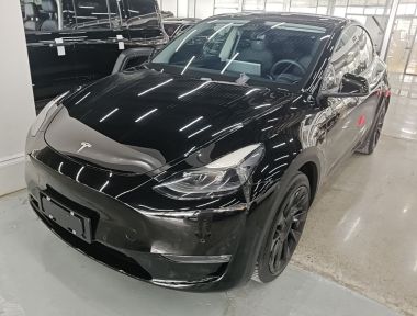 Tesla Model Y 2021 Tesla Model Y 2021 car image