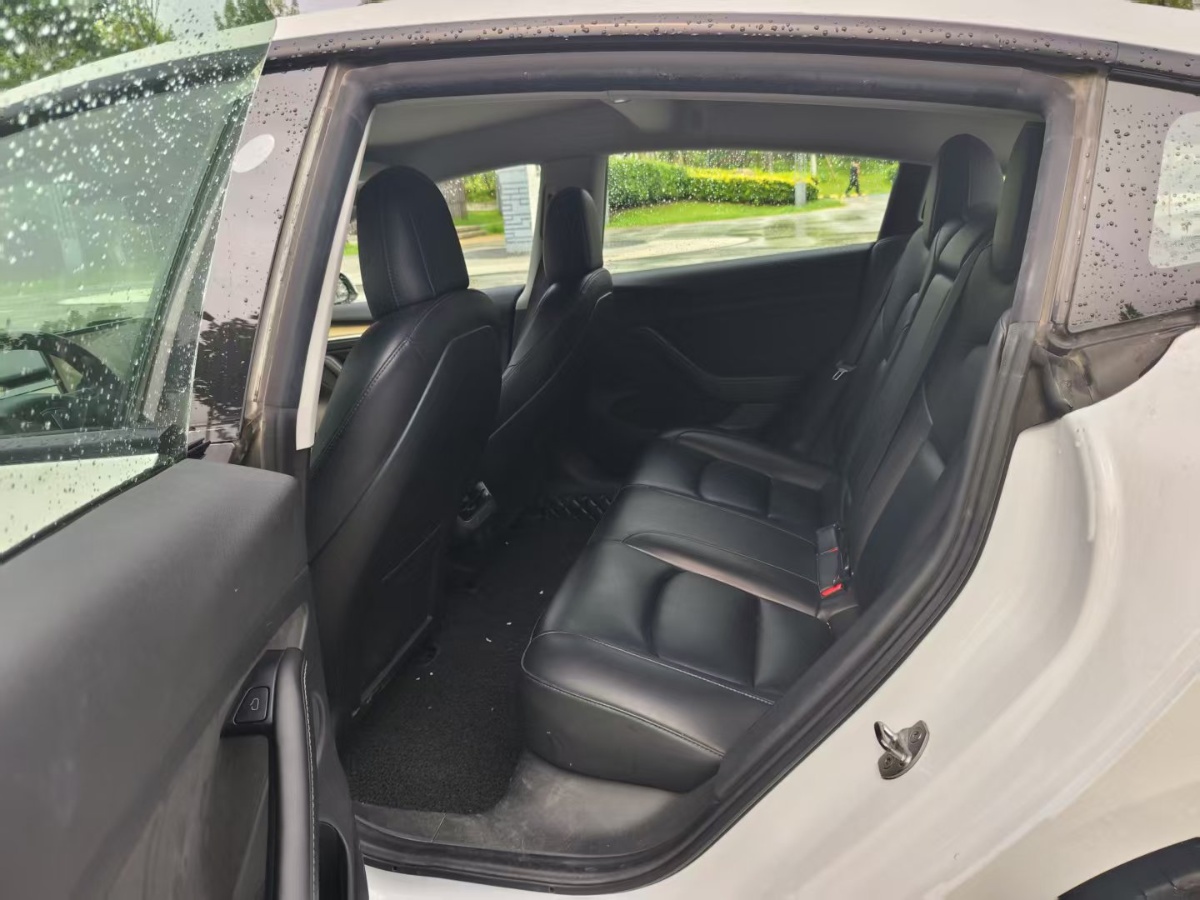 Tesla Model 3 2021 #4 Tesla Model 3 2021 car image #4