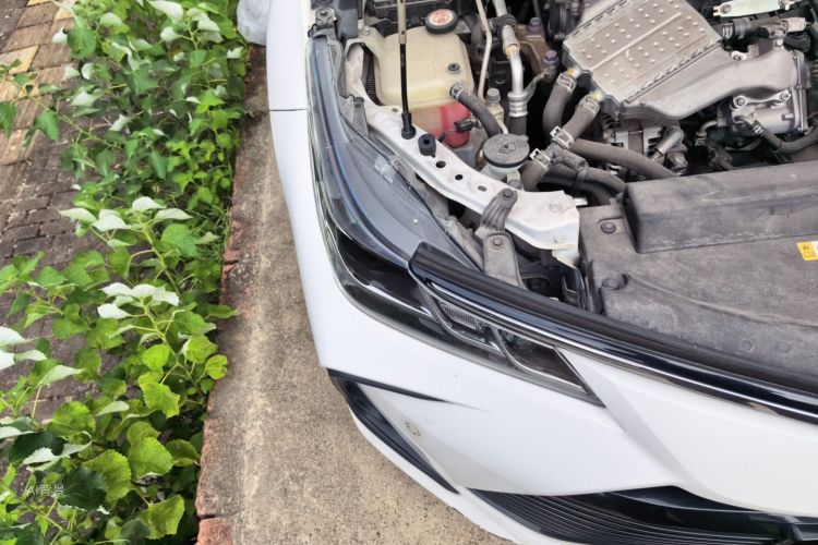 Toyota Corolla 2020 car image #8