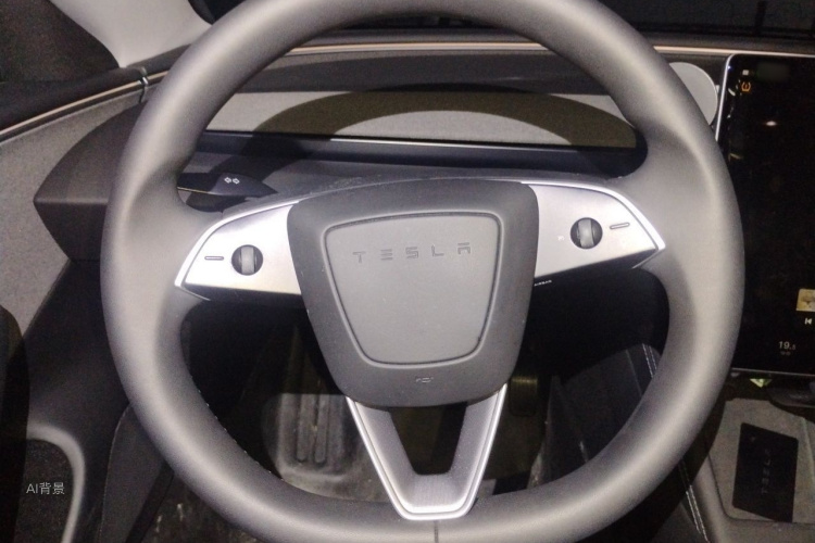 Tesla Model 3 2025 car image #12