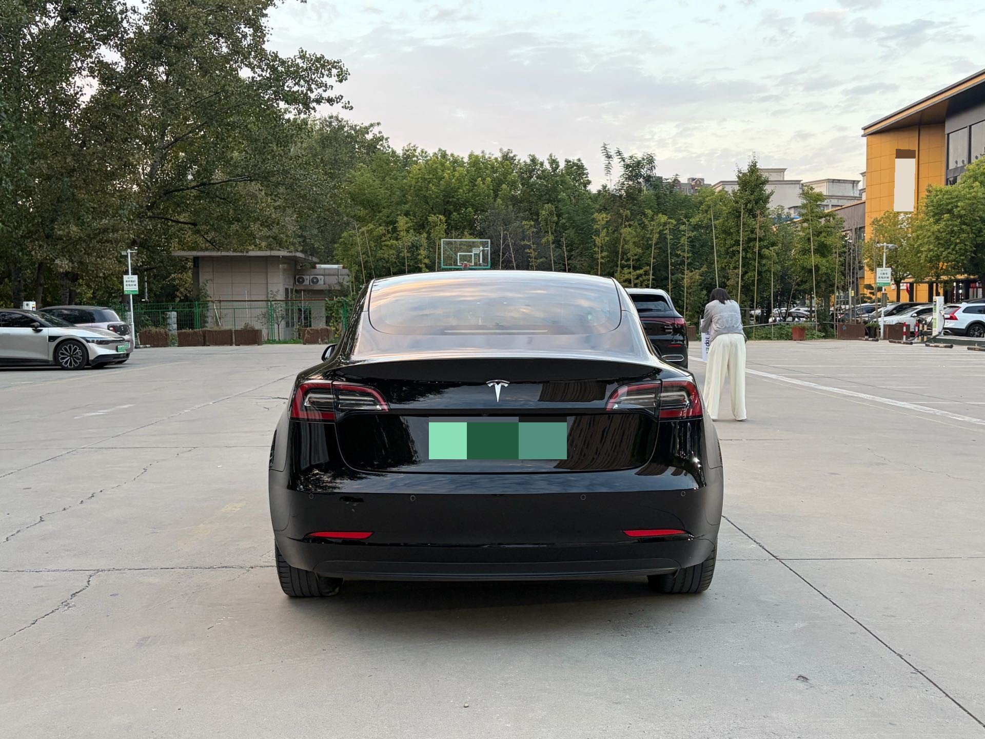 Tesla Model 3 2021 immagine di auto #6